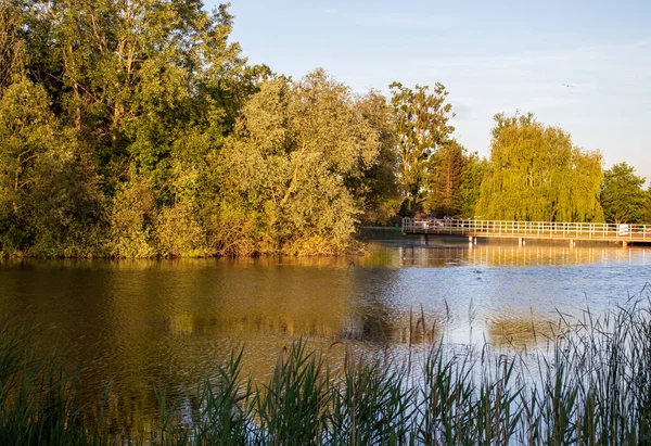 Bydgoszczの素晴らしい公園 リラックスするのに最適な場所 — ストック写真
