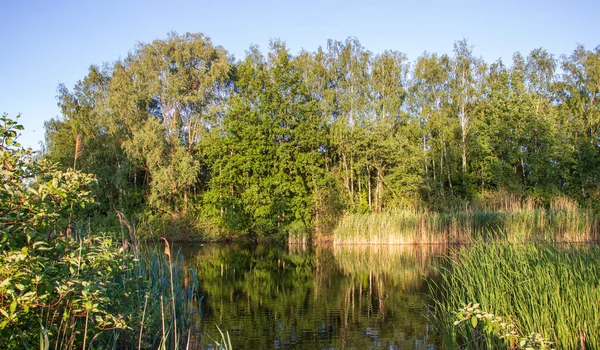 Nádherný Park Bydgoszcz Perfektní Místo Odpočinku — Stock fotografie