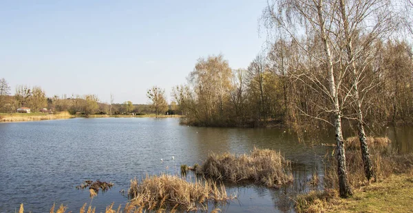 Magnifique Parc Bydgoszcz Endroit Parfait Pour Détendre — Photo