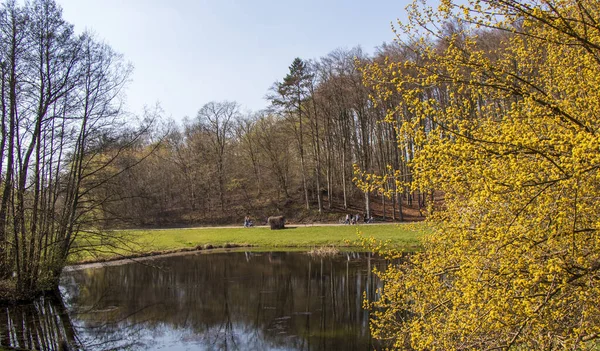 Parque Maravilhoso Bydgoszcz Lugar Perfeito Para Relaxar — Fotografia de Stock