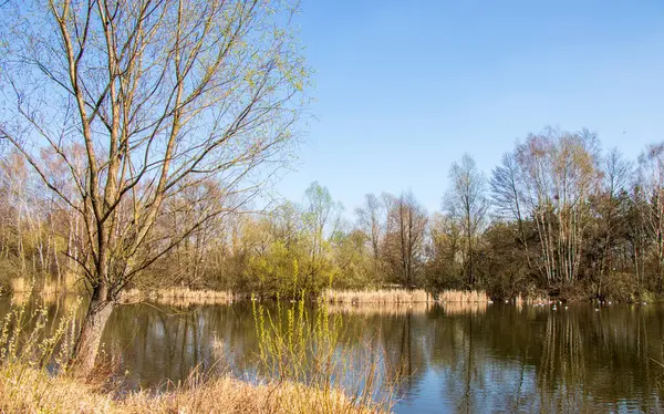 Magnifique Parc Bydgoszcz Endroit Parfait Pour Détendre — Photo