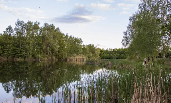 Прекрасный Парк Быдгоще Идеальное Место Отдыха — стоковое фото