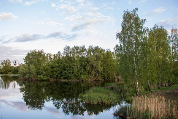 Прекрасный Парк Быдгоще Идеальное Место Отдыха — стоковое фото