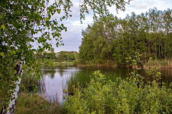 Magnifique Parc Bydgoszcz Endroit Parfait Pour Détendre — Photo