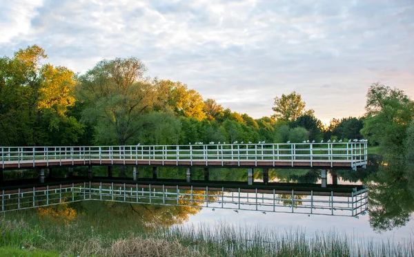 Parque Maravilhoso Bydgoszcz Lugar Perfeito Para Relaxar — Fotografia de Stock