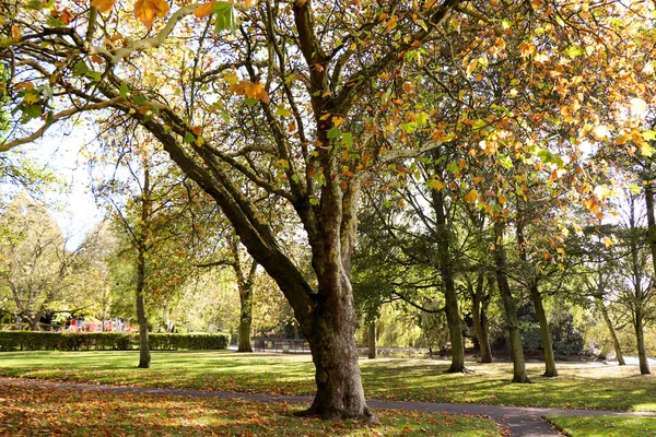 Paisaje Del Parque Inglés Lugar Perfecto Para Relajarse —  Fotos de Stock