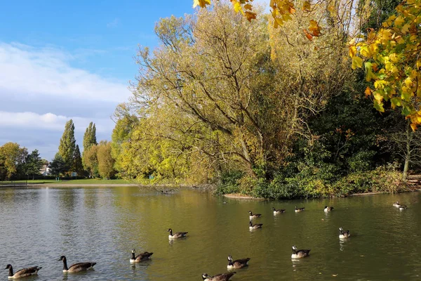 Paisagem Parque Inglês Lugar Perfeito Para Relaxar — Fotografia de Stock