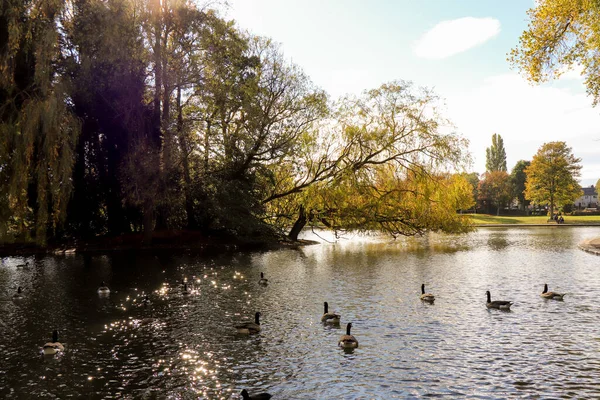 Paisagem Parque Inglês Lugar Perfeito Para Relaxar — Fotografia de Stock