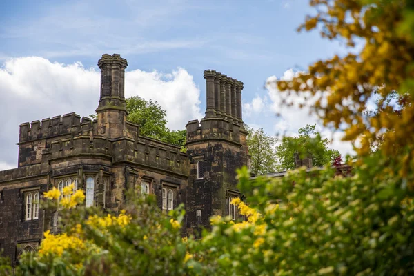 Hermoso Parque Inglés Día Soleado Hierba Verde Hermosas Flores — Foto de Stock