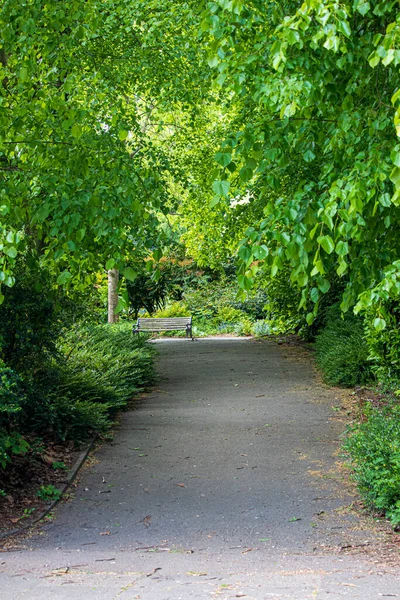 Hermoso Parque Inglés Día Soleado Hierba Verde Hermosas Flores —  Fotos de Stock