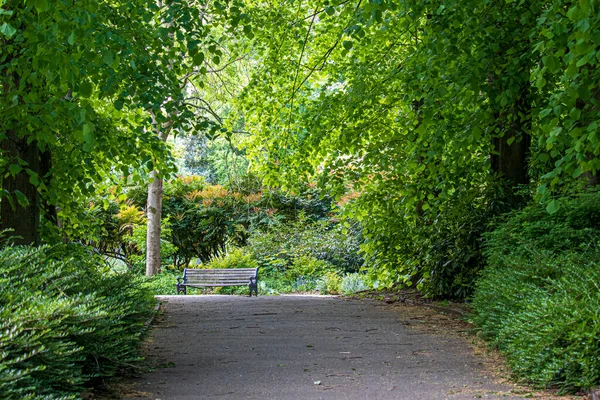 Piękny Angielski Park Słoneczny Dzień Zielona Trawa Piękne Kwiaty — Zdjęcie stockowe
