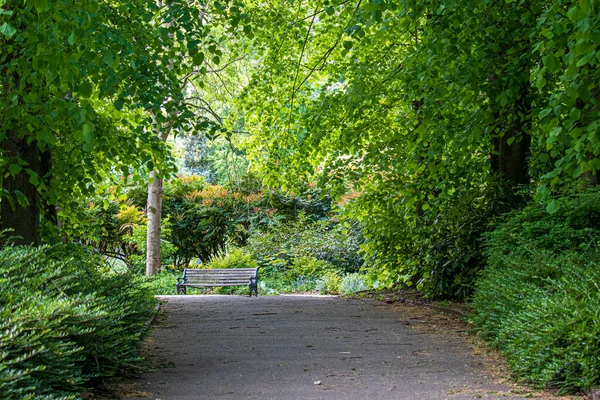 Hermoso Parque Inglés Día Soleado Hierba Verde Hermosas Flores —  Fotos de Stock