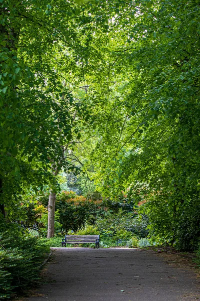 Hermoso Parque Inglés Día Soleado Hierba Verde Hermosas Flores —  Fotos de Stock