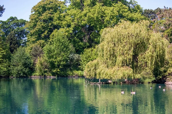 Vista Parque Inglês Primavera Inglaterra — Fotografia de Stock