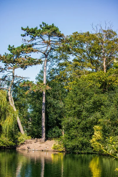 Vista Parque Inglês Primavera Inglaterra — Fotografia de Stock