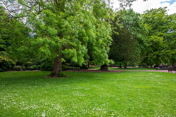 Vista Parque Inglés Primavera Inglaterra —  Fotos de Stock