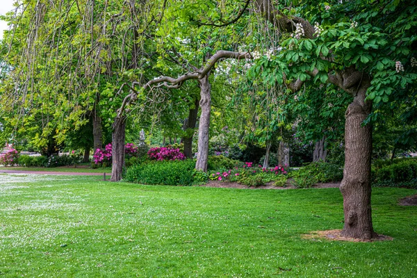 Widok Park Angielski Wiosna Anglii — Zdjęcie stockowe