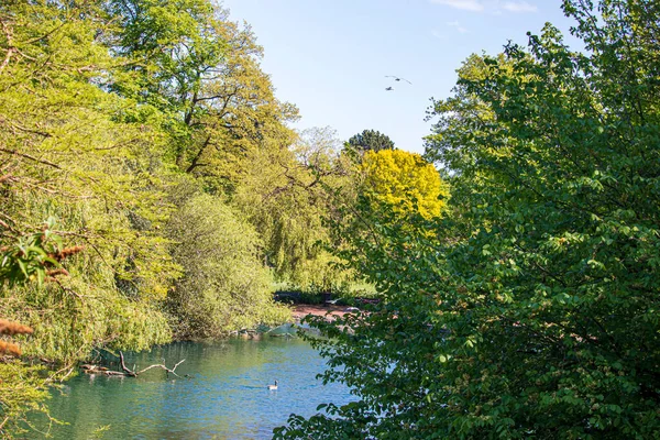 Vista Parque Inglês Primavera Inglaterra — Fotografia de Stock