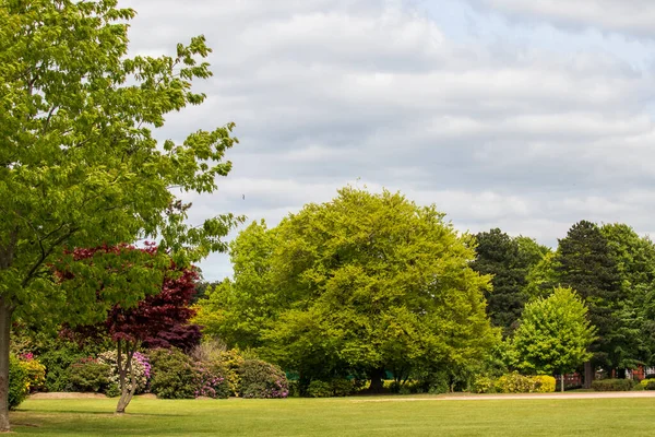 Vista Parque Inglés Primavera Inglaterra —  Fotos de Stock