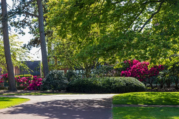 View English Park Spring England — Stock Photo, Image