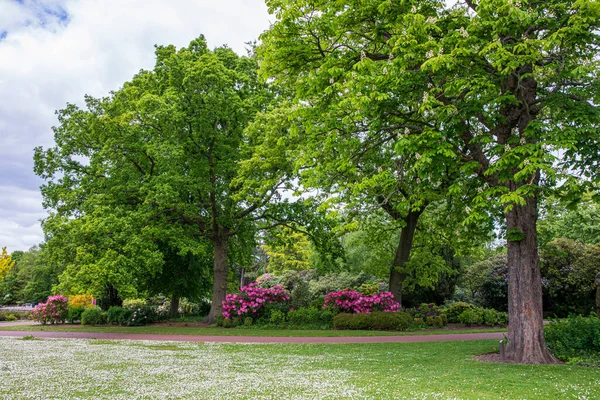 Vista Parco Inglese Primavera Inghilterra — Foto Stock