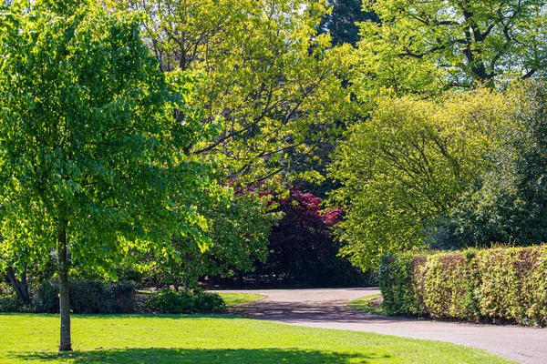 Vista Parque Inglés Primavera Inglaterra —  Fotos de Stock