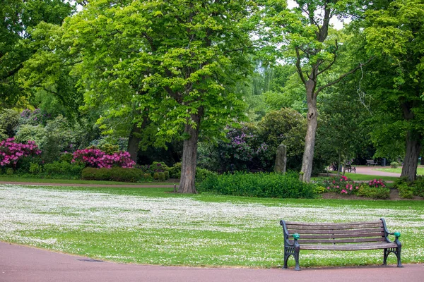 Kilátás Egy Angol Parkra Tavasz Angliában — Stock Fotó