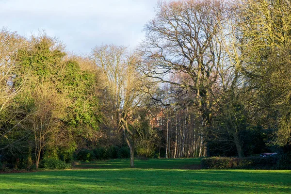 英語公園の眺め イギリスの春 — ストック写真