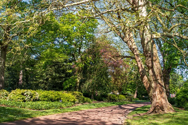 Vista Parque Inglés Primavera Inglaterra —  Fotos de Stock