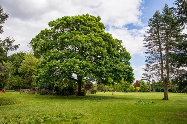 Vista Parque Inglés Primavera Inglaterra —  Fotos de Stock