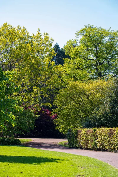 Vista Parco Inglese Primavera Inghilterra — Foto Stock