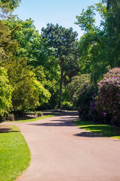 Vista Parco Inglese Primavera Inghilterra — Foto Stock