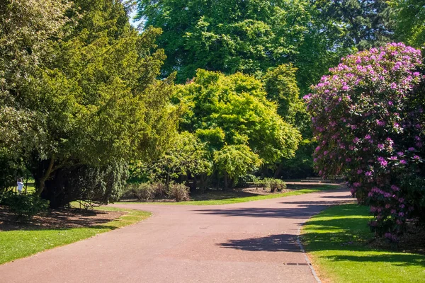 Vista Parque Inglês Primavera Inglaterra — Fotografia de Stock