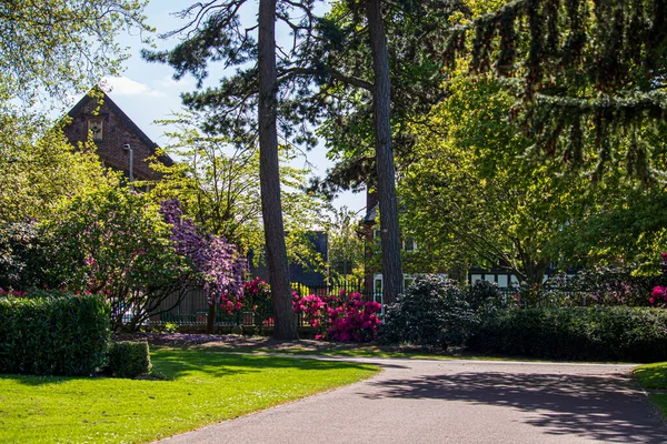 View English Park Spring England — Stock Photo, Image