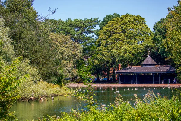 View English Park Spring England — Stock Photo, Image