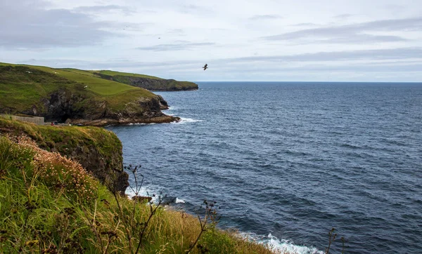 Port Isaac Gyönyörű Kilátás Tengerre — Stock Fotó