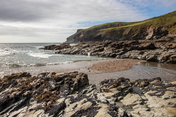 Nuevo Polzeath Hermosa Vista Mar Cornwall —  Fotos de Stock