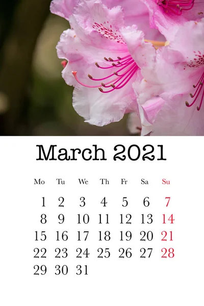 Scheda Calendario Mese Marzo 2021 — Foto Stock