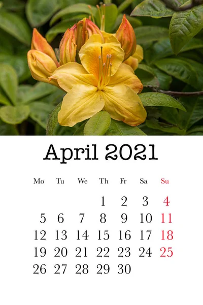 Calendar Card Month April 2021 — Stock Photo, Image