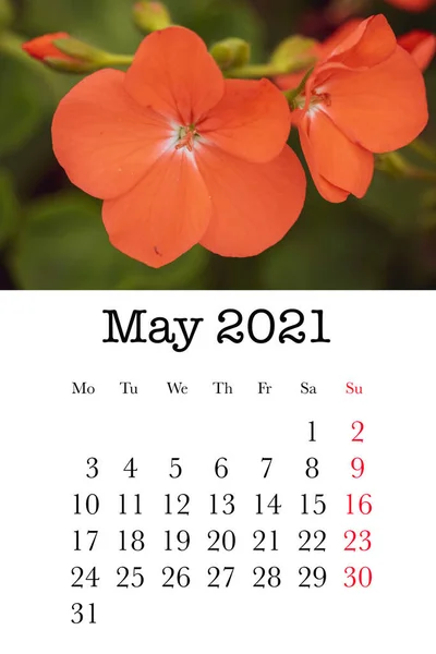 Karta Kalendarzowa Miesiąc Maj 2021 — Zdjęcie stockowe