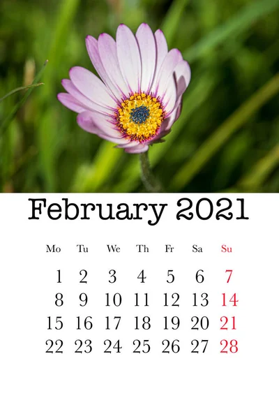 Cartão Calendário Para Mês Fevereiro 2021 — Fotografia de Stock