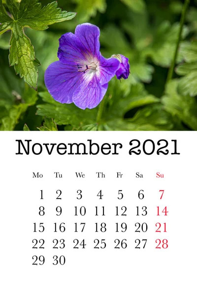 Kalenderkaart Voor Maand November 2021 — Stockfoto