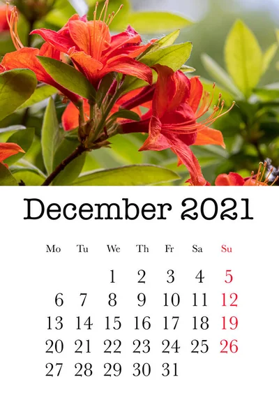 Cartão Calendário Para Mês Dezembro 2021 — Fotografia de Stock