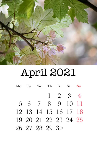 Calendar Card Month April 2021 — Stock Photo, Image