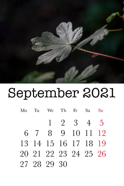 Cartão Calendário Para Mês Setembro 2021 — Fotografia de Stock