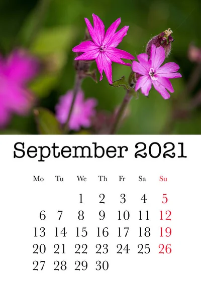 Calendar Card Month September 2021 — Stock Photo, Image