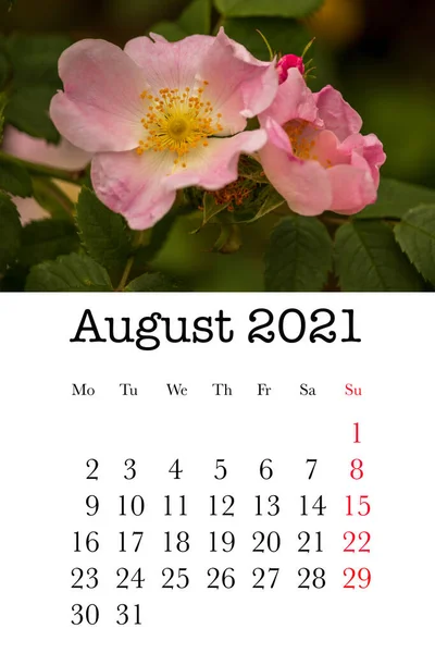 Scheda Calendario Mese Agosto 2021 — Foto Stock