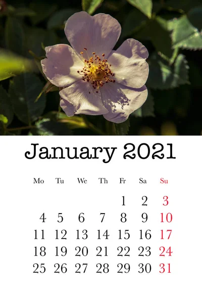 Kalendářní Karta Měsíc Leden 2021 — Stock fotografie