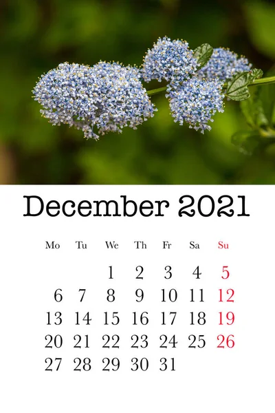 Kalenderkaart Voor Maand December 2021 — Stockfoto