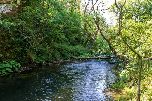 Dove Dale Krásný Výhled Vodu Mezi Zelenými Stromy Slunečného Dne — Stock fotografie